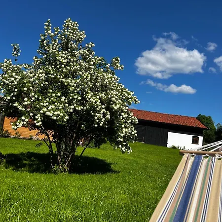 Oaza Marcinkowska Holiday home